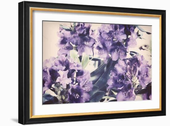 Violet Remembers-Mindy Sommers-Framed Giclee Print