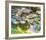 Violet Water Lilies-Claude Monet-Framed Art Print