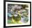 Violet Water Lilies-Claude Monet-Framed Art Print