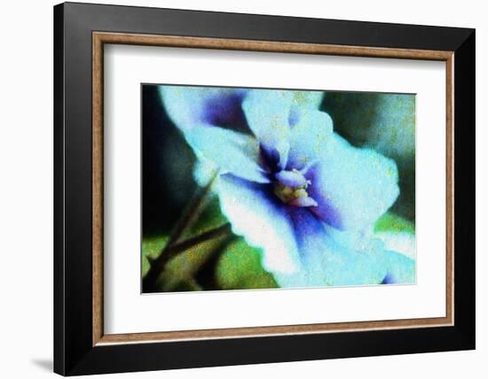 Violet-Andr? Burian-Framed Photographic Print