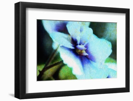 Violet-Andr? Burian-Framed Photographic Print