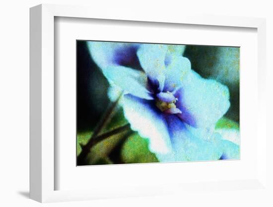 Violet-Andr? Burian-Framed Photographic Print