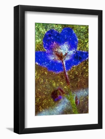 Violet-Andr? Burian-Framed Photographic Print