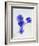 Violets, Blossoms, Violet, Blue, Viola Odorata-Axel Killian-Framed Photographic Print