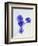 Violets, Blossoms, Violet, Blue, Viola Odorata-Axel Killian-Framed Photographic Print