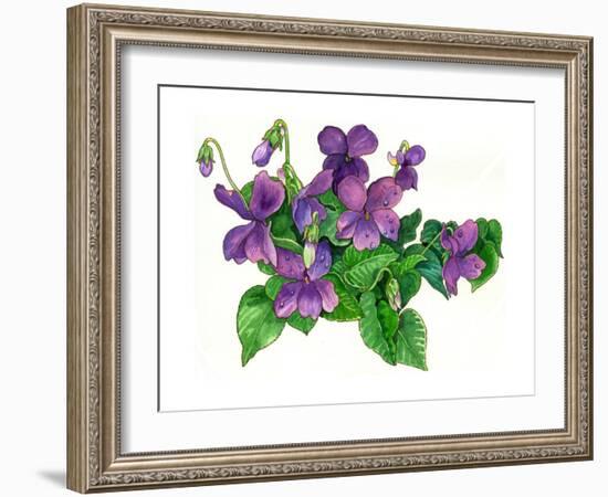 Violets Bunny-Wendy Edelson-Framed Giclee Print