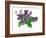 Violets Bunny-Wendy Edelson-Framed Giclee Print