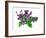 Violets Bunny-Wendy Edelson-Framed Giclee Print