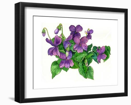 Violets Bunny-Wendy Edelson-Framed Giclee Print