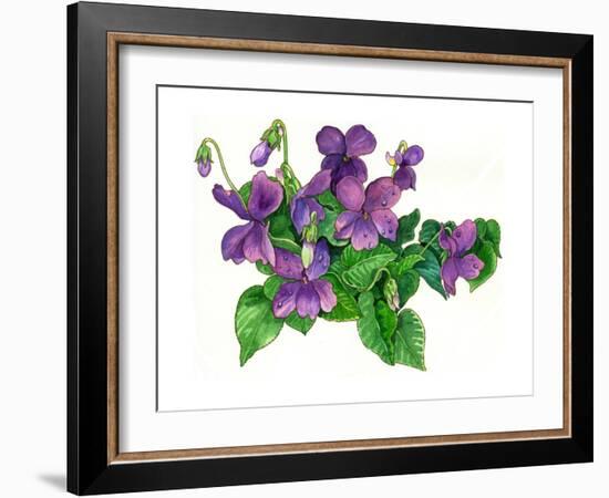 Violets Bunny-Wendy Edelson-Framed Giclee Print