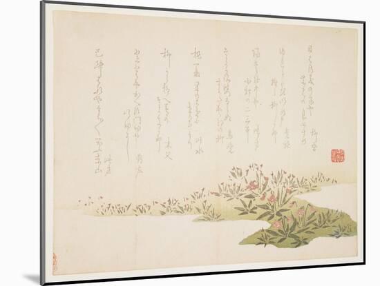 Violets, C.1848-53-Ho Shu-Mounted Giclee Print
