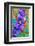 Violets-null-Framed Art Print