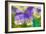 Violets-Cora Niele-Framed Photographic Print