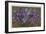 Violets-null-Framed Art Print