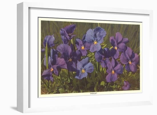 Violets-null-Framed Art Print