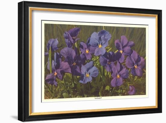 Violets-null-Framed Art Print