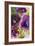 Violetti I-Lanie Loreth-Framed Art Print