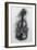 Violin, 2005-Penny Warden-Framed Giclee Print