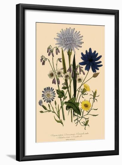 Viper Grass and Others-null-Framed Giclee Print