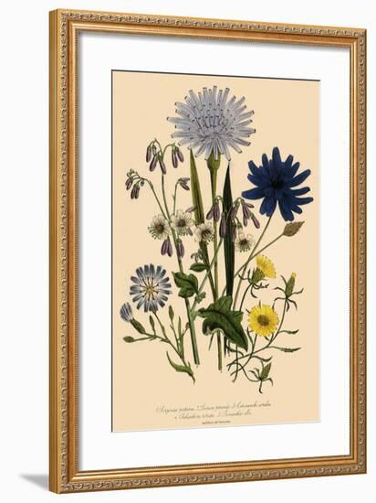 Viper Grass and Others-null-Framed Giclee Print