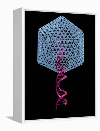 Viral Gene Therapy, Artwork-Laguna Design-Framed Premier Image Canvas