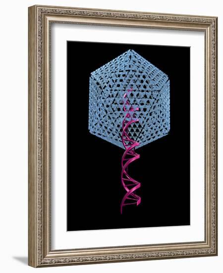 Viral Gene Therapy, Artwork-Laguna Design-Framed Photographic Print