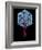 Viral Gene Therapy, Artwork-Laguna Design-Framed Photographic Print