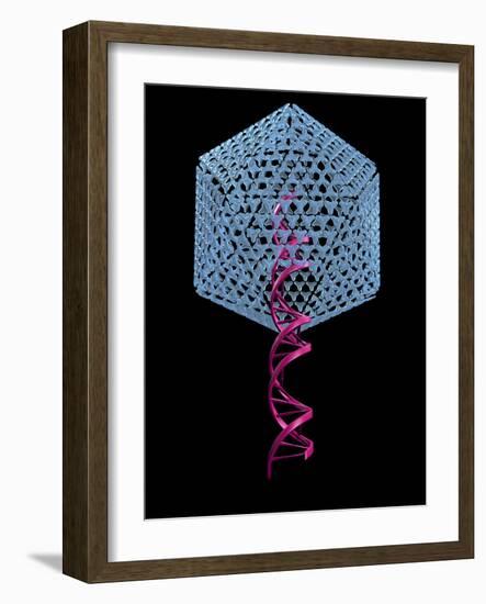 Viral Gene Therapy, Artwork-Laguna Design-Framed Photographic Print