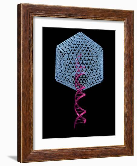 Viral Gene Therapy, Artwork-Laguna Design-Framed Photographic Print