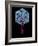 Viral Gene Therapy, Artwork-Laguna Design-Framed Photographic Print