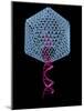 Viral Gene Therapy, Artwork-Laguna Design-Mounted Photographic Print