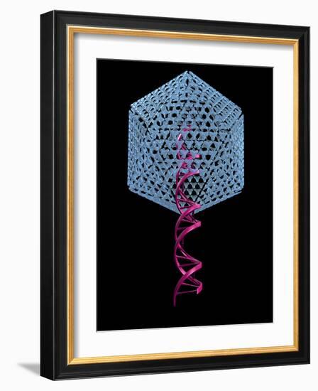 Viral Gene Therapy, Artwork-Laguna Design-Framed Photographic Print