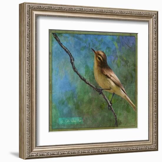 Vireo-Chris Vest-Framed Art Print