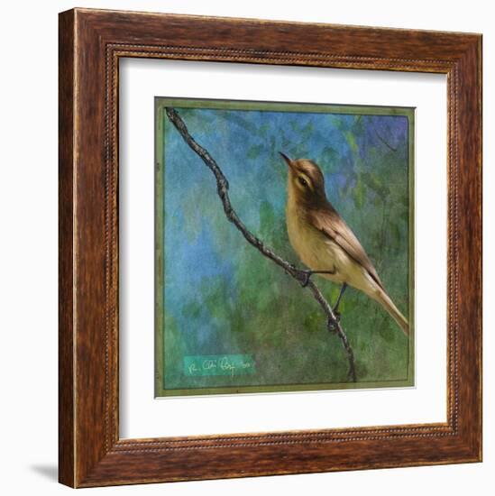 Vireo-Chris Vest-Framed Art Print