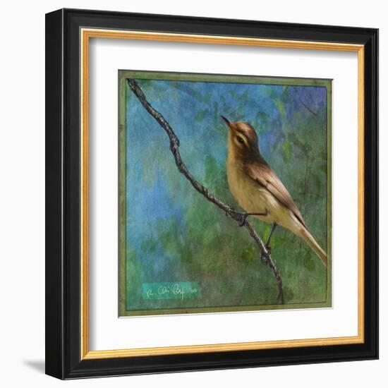 Vireo-Chris Vest-Framed Art Print