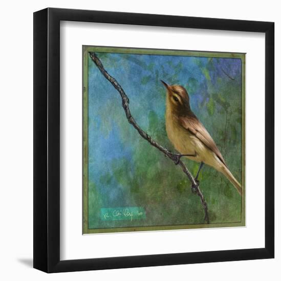 Vireo-Chris Vest-Framed Art Print