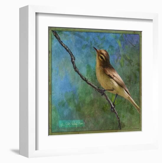 Vireo-Chris Vest-Framed Art Print