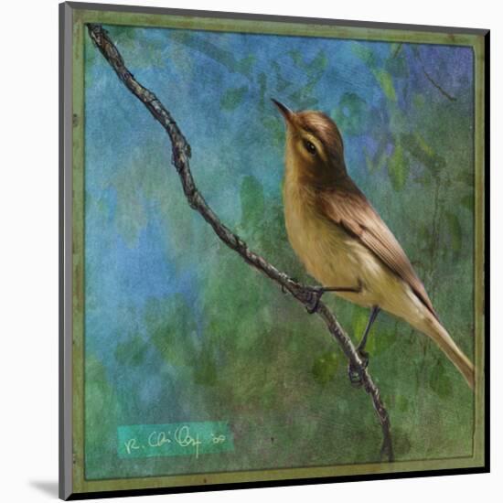 Vireo-Chris Vest-Mounted Art Print