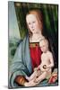 Virgin and Child, after 1494 (Tempera with Oil Glazes on Panel)-Galeazzo Campi-Mounted Giclee Print