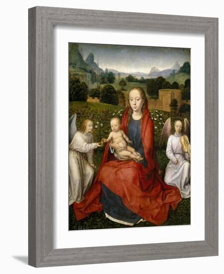 Virgin and Child and Two Angels, 1480-1490-Hans Memling-Framed Giclee Print