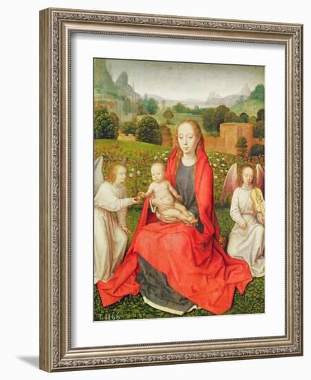 Virgin and Child between Two Angels, C.1480S (Oil on Oak)-Hans Memling-Framed Giclee Print