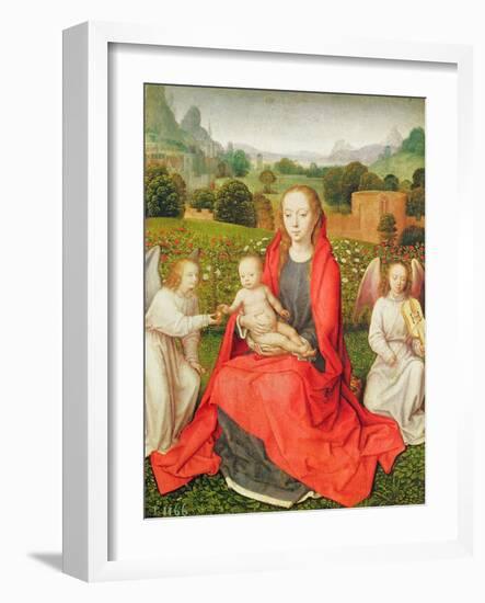 Virgin and Child between Two Angels, C.1480S (Oil on Oak)-Hans Memling-Framed Giclee Print