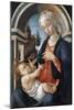 Virgin and Child, C1444-1510-Sandro Botticelli-Mounted Giclee Print