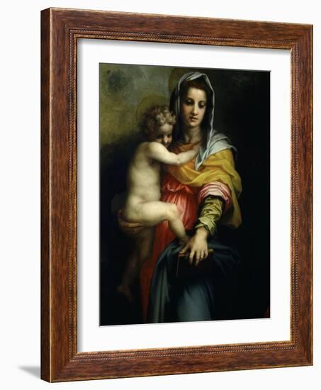 Virgin and Child from Madonna of the Harpies with Saint John Baptist and St Francis C.1517 Detail-Andrea del Sarto-Framed Giclee Print