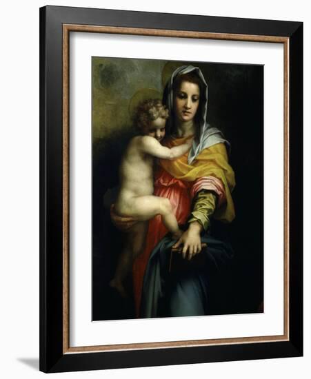 Virgin and Child from Madonna of the Harpies with Saint John Baptist and St Francis C.1517 Detail-Andrea del Sarto-Framed Giclee Print