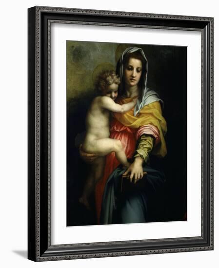 Virgin and Child from Madonna of the Harpies with Saint John Baptist and St Francis C.1517 Detail-Andrea del Sarto-Framed Giclee Print