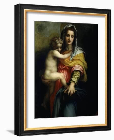 Virgin and Child from Madonna of the Harpies with Saint John Baptist and St Francis C.1517 Detail-Andrea del Sarto-Framed Giclee Print