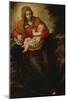 Virgin and Child, known as the Immaculate Conception (Oil on Canvas)-Jacopo Robusti Tintoretto-Mounted Giclee Print