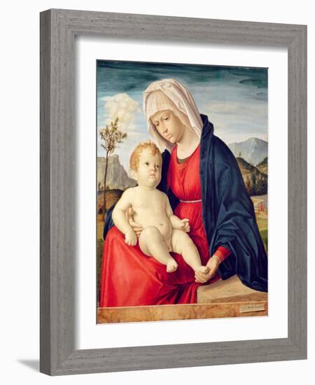 Virgin and Child (Oil on Board)-Giovanni Battista Cima Da Conegliano-Framed Giclee Print