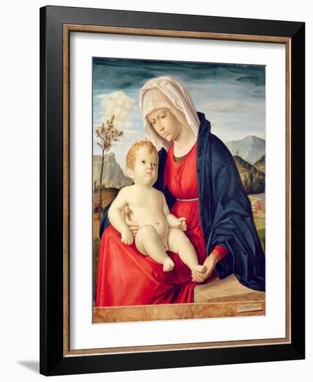 Virgin and Child (Oil on Board)-Giovanni Battista Cima Da Conegliano-Framed Giclee Print